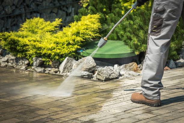 Best Soft Washing  in Iva, SC